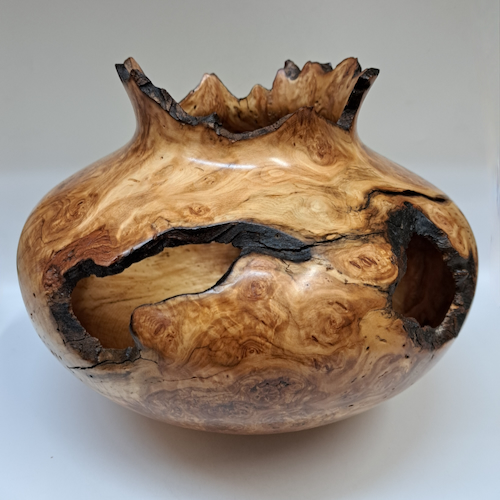 Click to view detail for JW-262 Colorado Aspen Burl Hollow Woodturning $950